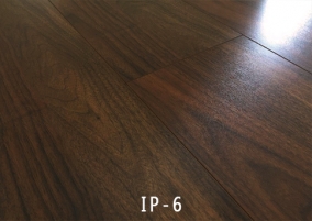 外貿IP-6